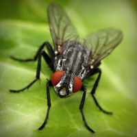 /album/lenjerii-pat/photolia-a01-jpg/