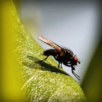 /album/lenjerii-pat/photolia-a04-jpg/