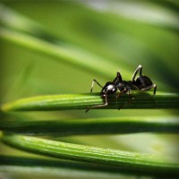 /album/lenjerii-pat/photolia-a05-jpg/