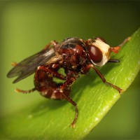 /album/lenjerii-pat/photolia-a06-jpg/