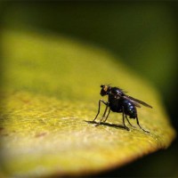 /album/lenjerii-pat/photolia-a07-jpg/